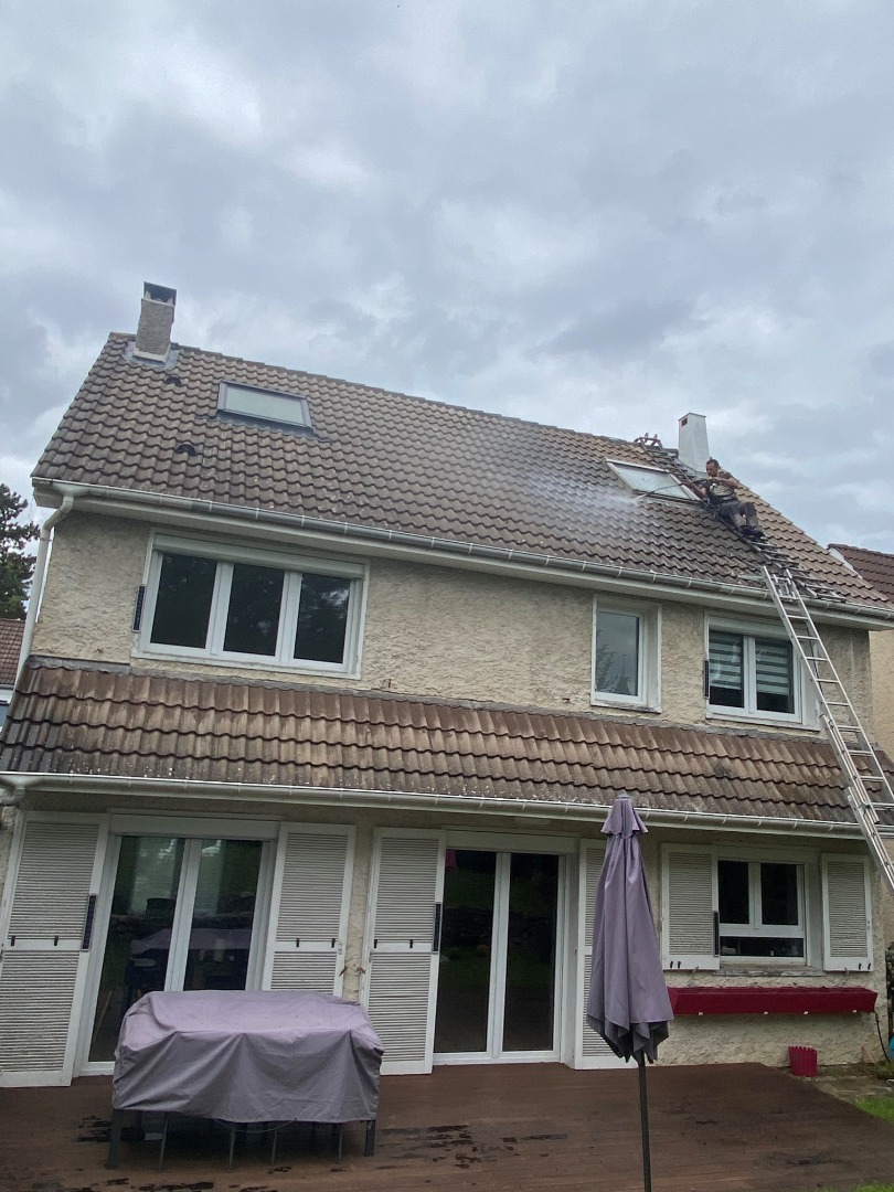 C-Renov-2.jpg| C-Renov-1.jpg