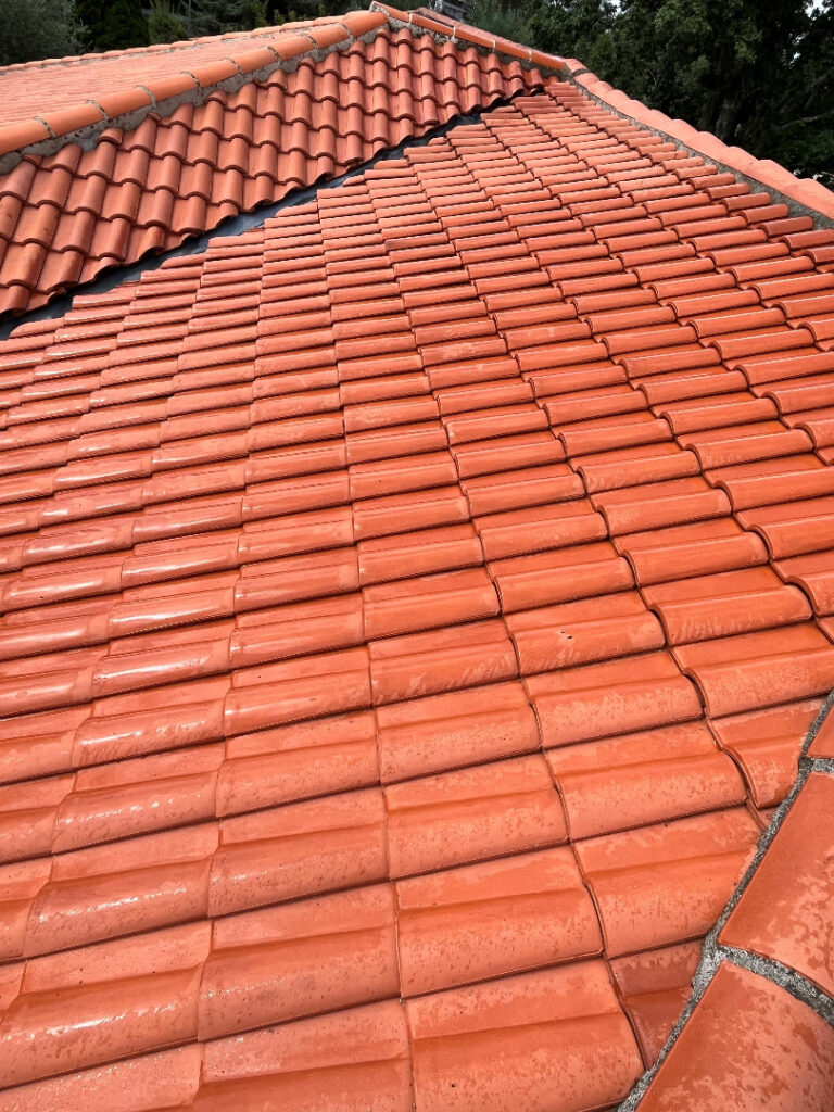 Nettoyage de toiture à Pibrac