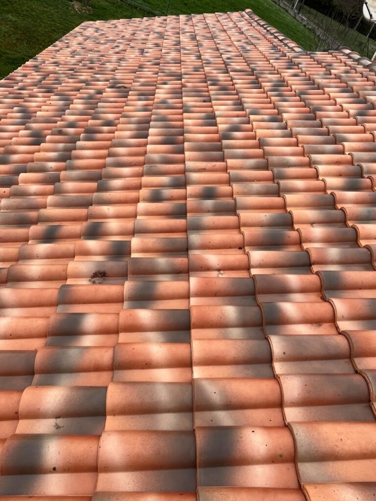 Nettoyage et entretien à Toulouse