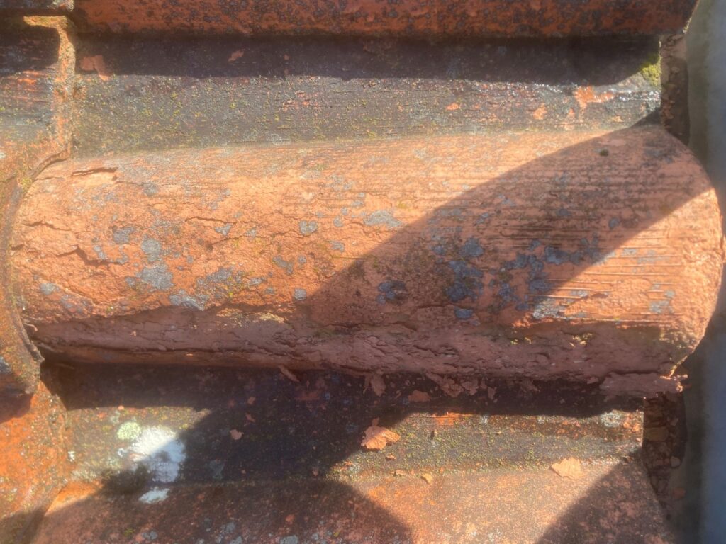 Nettoyage de toiture Toulouse