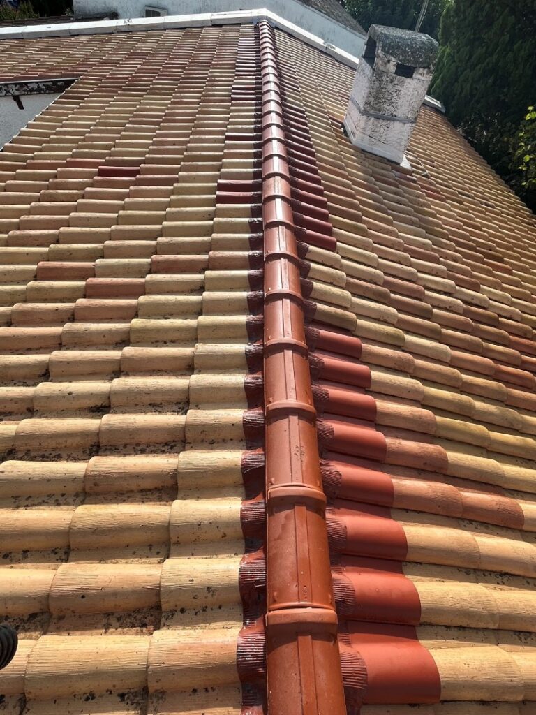 Nettoyage de toiture à Toulouse avant