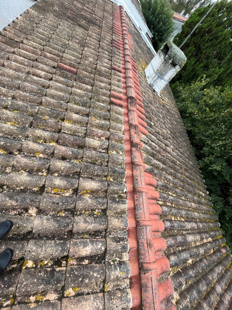 Nettoyage de toiture à Toulouse avant| Nettoyage de toiture à Toulouse après