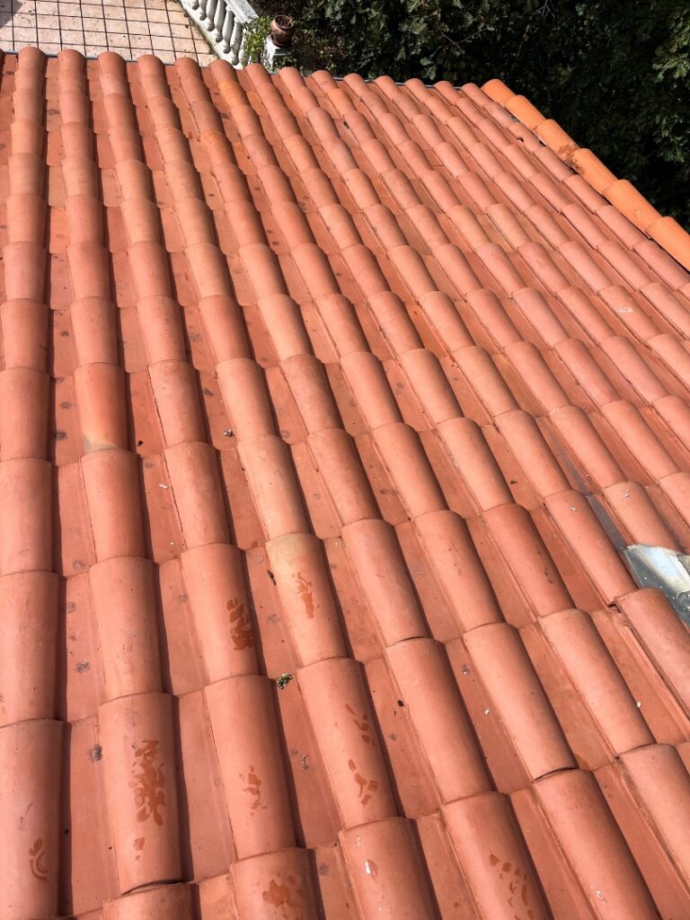 Nettoyage de toiture à Blagnac