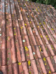 Nettoyage de toiture à Blagnac| Nettoyage de toiture à Blagnac