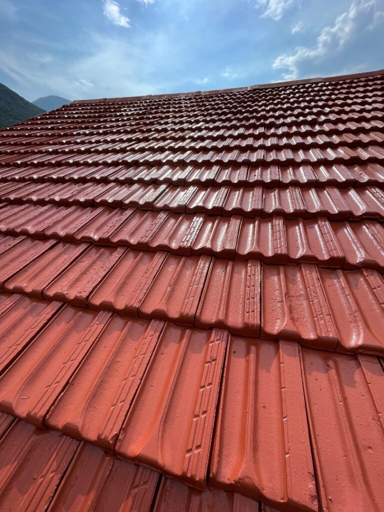 C Rénovation Toulouse toiture avant.jpg